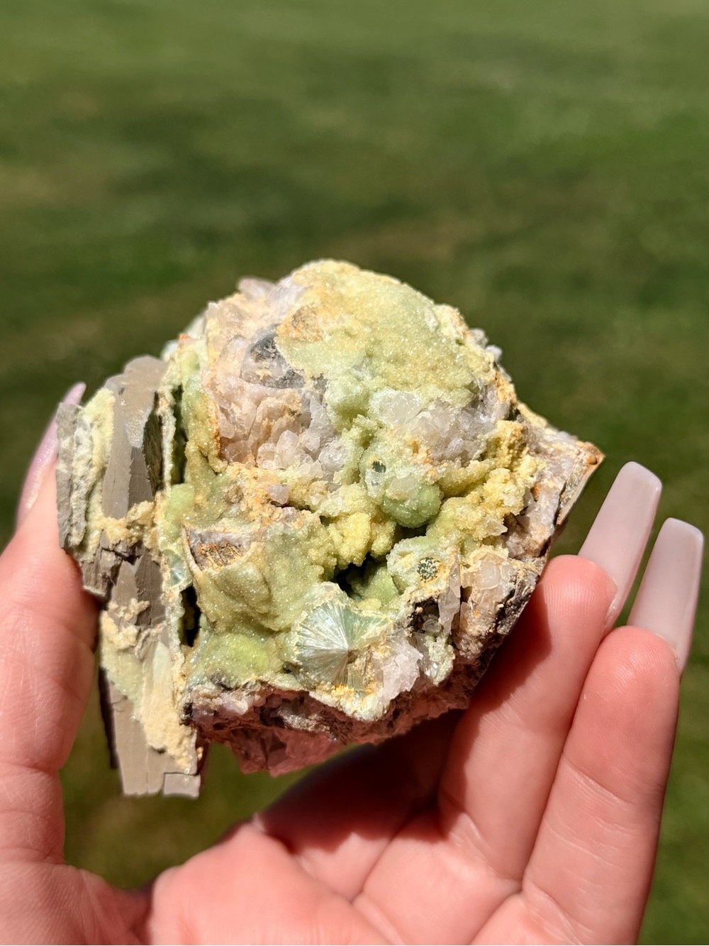 Rare Arkansas Wavellite Collector Specimen | Natural Green Starburst